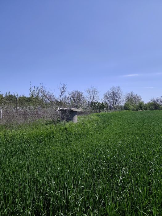 Teren de vanzare 2500 mp, Martacesti, Braila