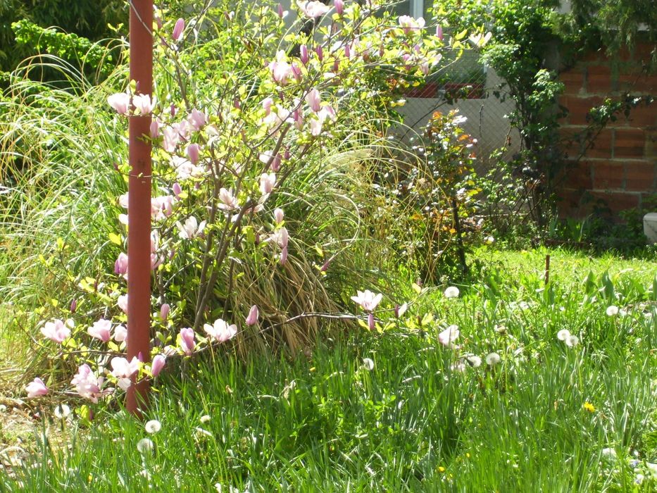 фотоапарат Kodak C533