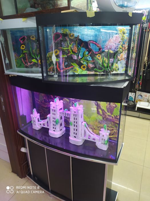 Akvaryum avalniy New Mirobod  tumanida