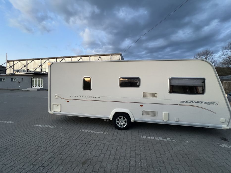 Bailey california   pat matrimonial baie mare pe spate inm Ro 2010