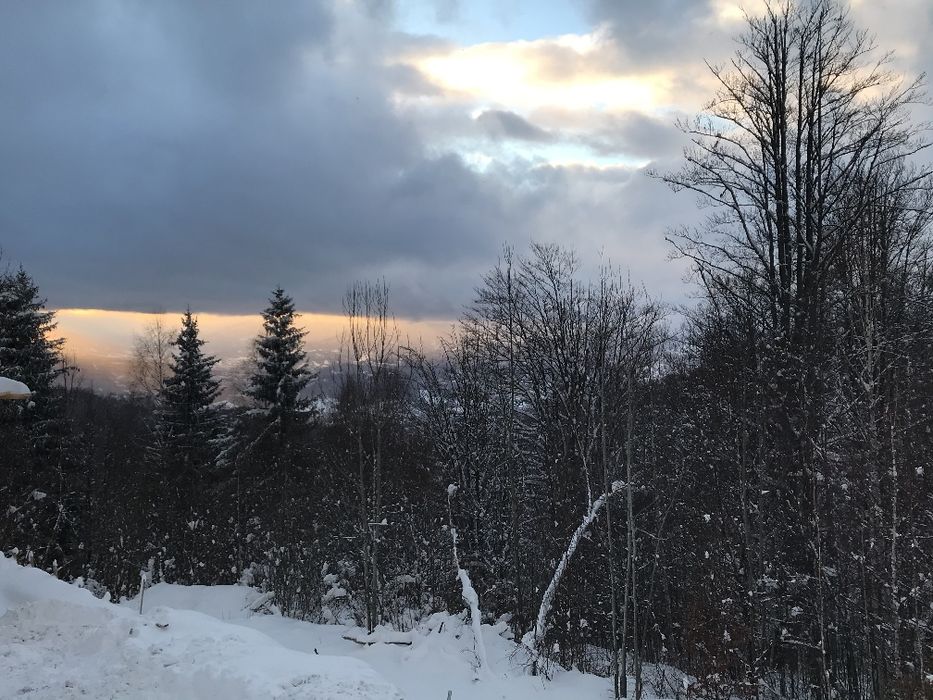 Teren intravilan 649 mp – Zona Rusu, la marginea pădurii