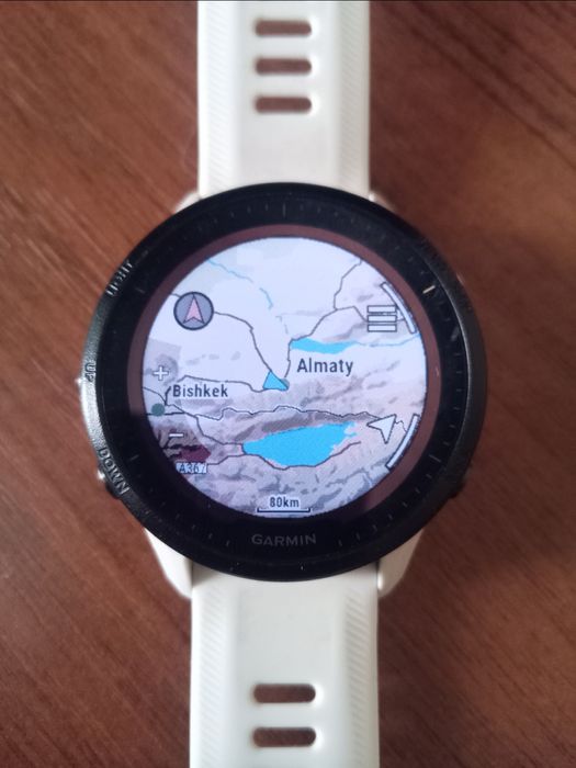 Garmin Forerunner 955 Solar White