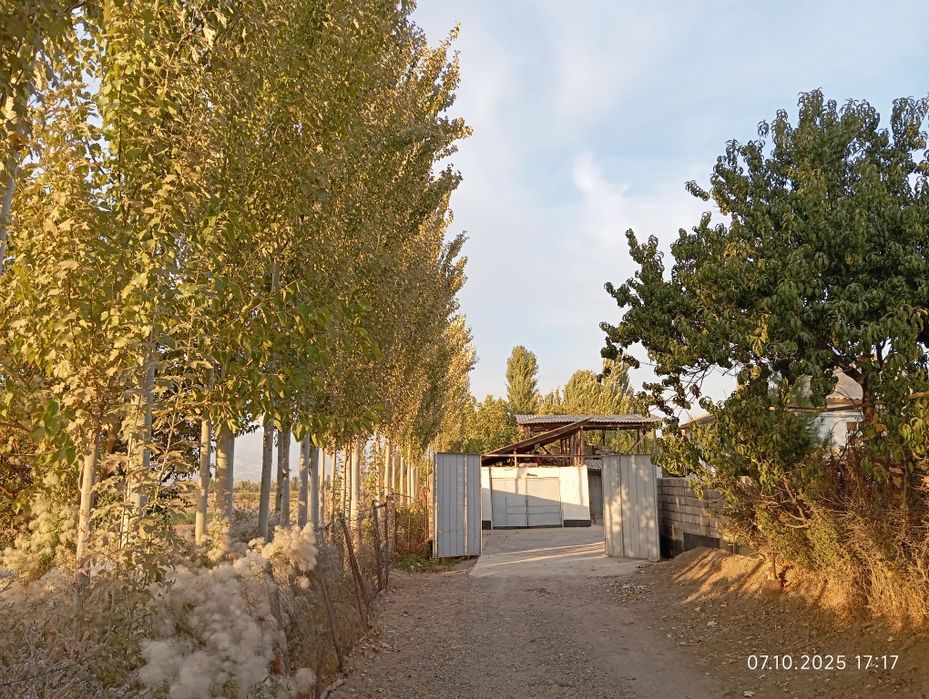 Бустонлик туманида 20 сотих уй сотилади.Булип сотиш варианти хам бор!