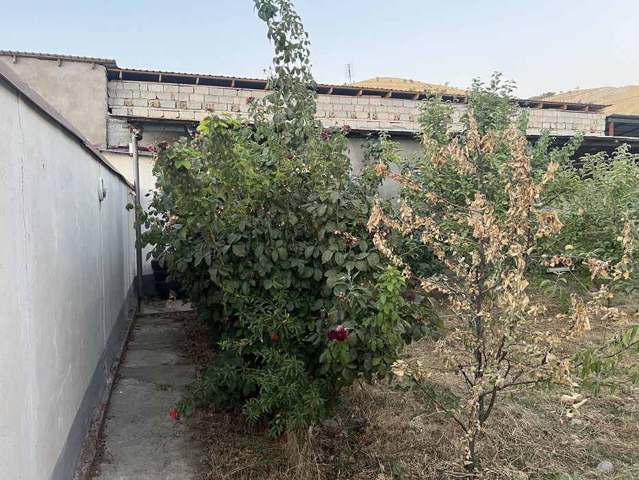 Gazalkent hovli namunali uylar