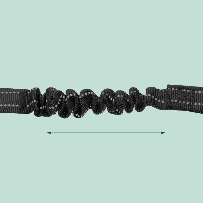 Centura de siguranta auto pentru caini cu amortizor carabina si Isofix