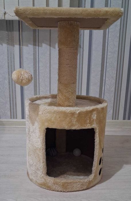 Котешка катерушка