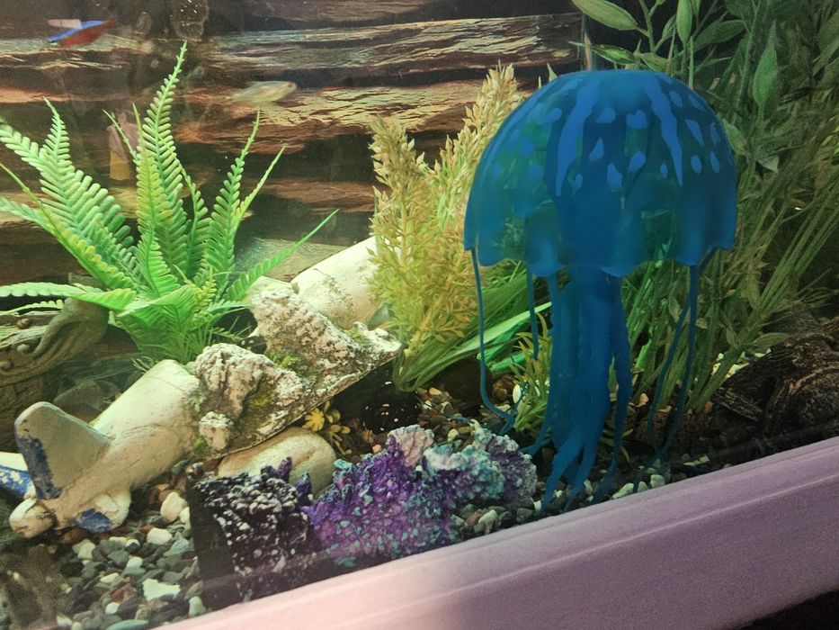 Аквариум с рибки действащ оборудван