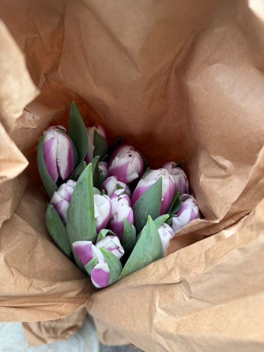 Тюльпаны оптом розница