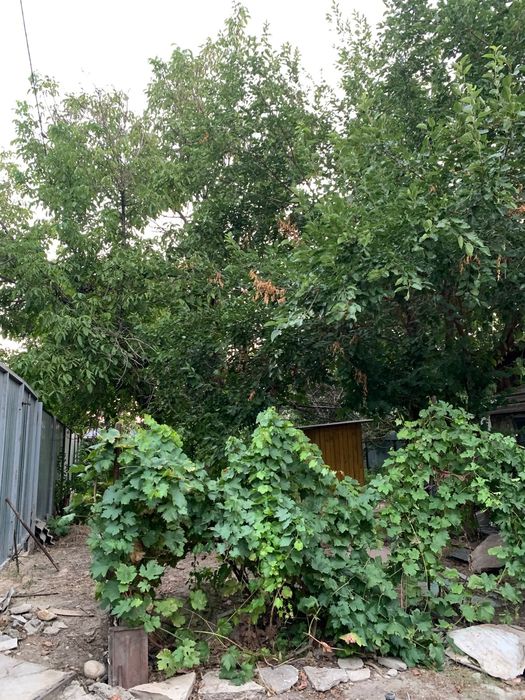 Дом в аренду на долгий срок