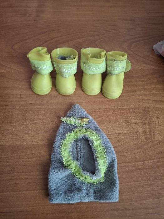 Одежда для маленьких собак