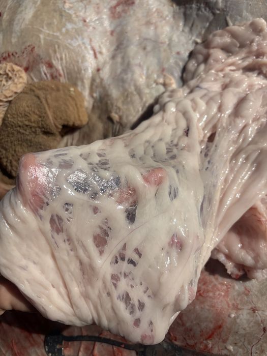 Іш май . Внутренний жир