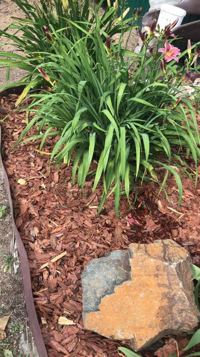 Дача с/т Ёлочка, п. Солнечный