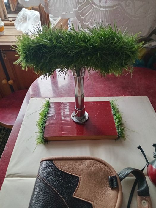 Принадлежности для ловчих птиц.