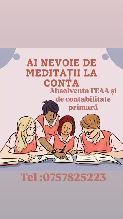 Pregatire Contabilitate Meditatii