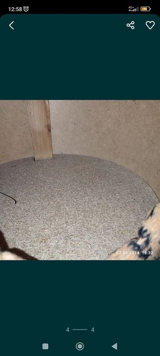 Домик для кошек и котят двухэтажный