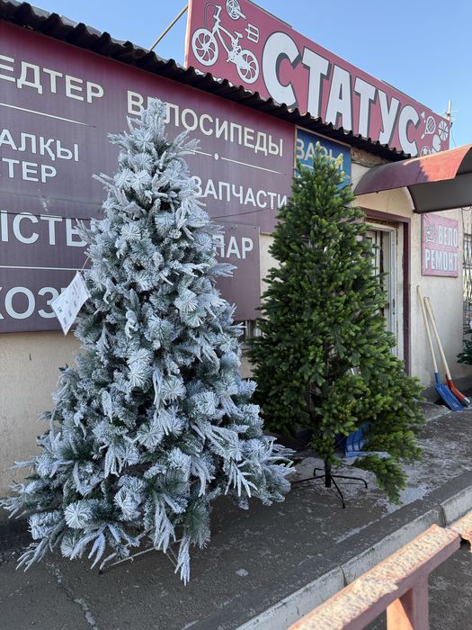 Продам елки, Костанай