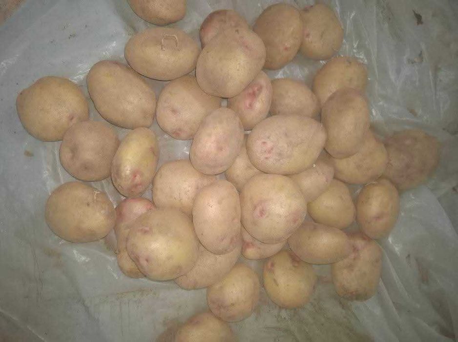 Смолянски Картофи