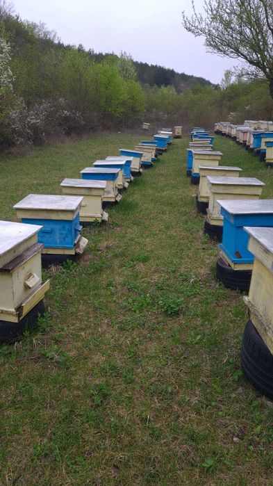 Продавам кошери ползвани