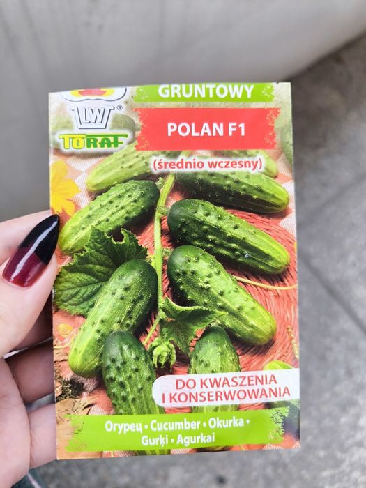 Продавам разсад от краставици.