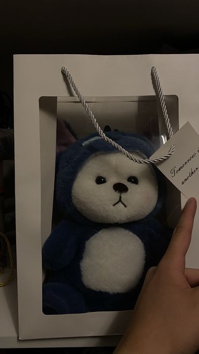 Новые мишки с капюшонами