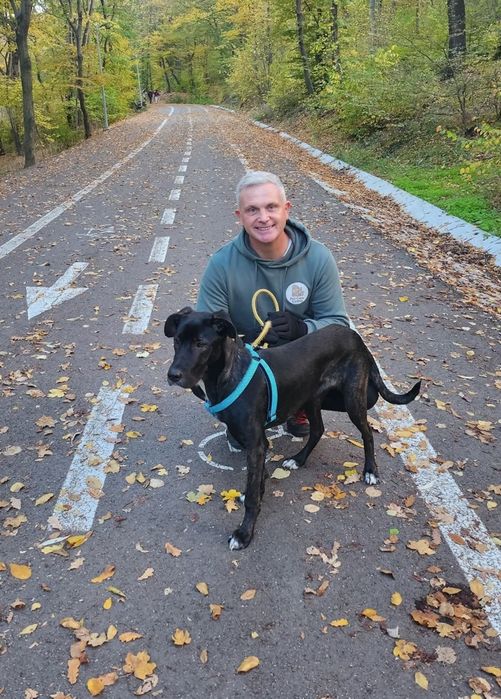 Plimbări câini, Dresaj canin, Vizite pisici & căței,Pet sitting,  Pet Taxi  și multe altele. ❤️  Îngrijire cu pasiune