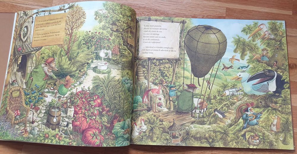 Carte "Unde este sora mea?" - Sven Nordqvist