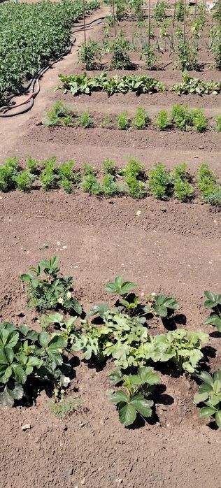 Продам дачу понтонный мост