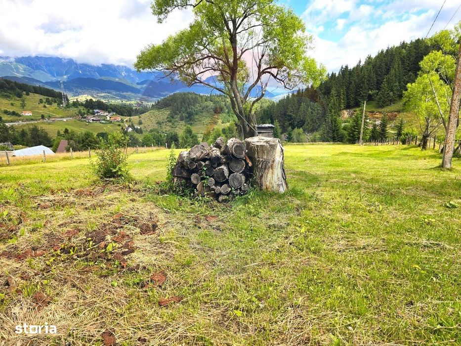 Teren de vis în Fundata 1934mp sau 3868mp, la înălțimea sufletului tău
