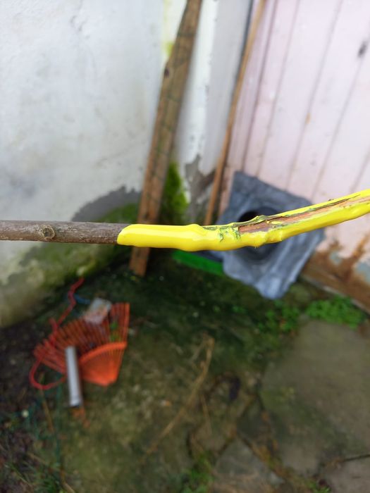 Vand vopsea sigma nou verde deschis