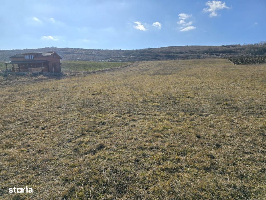 Teren de 10.100 mp, zona de case, in Valea Chintaului