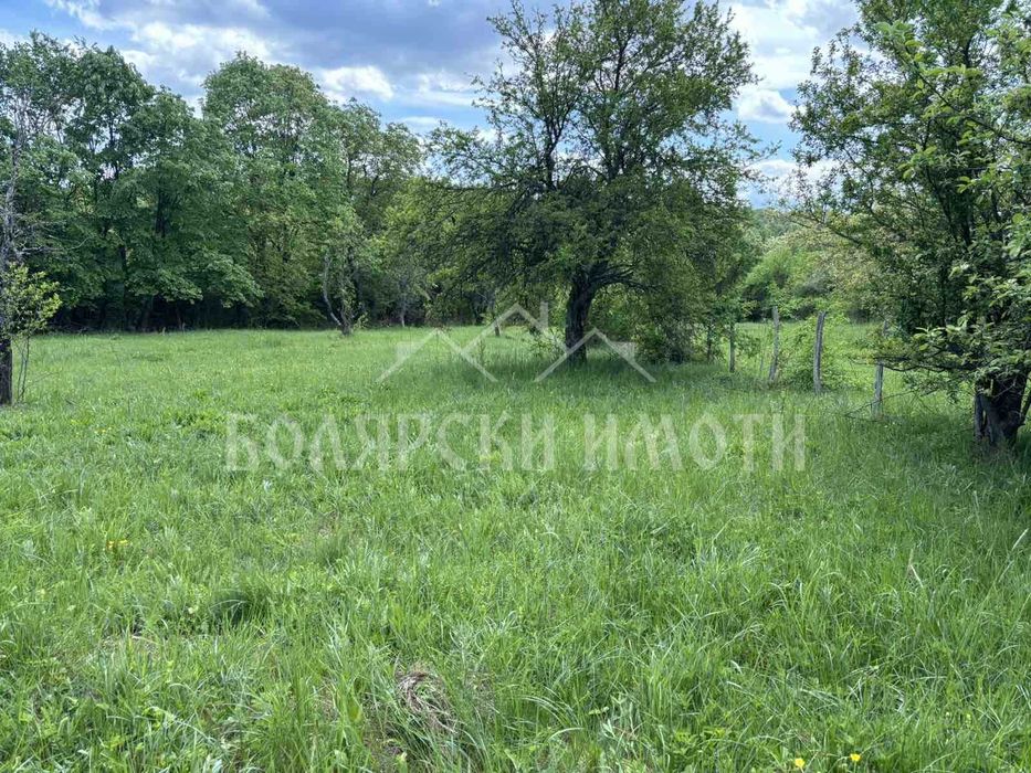 Продава се Парцел в с. Балванците, Област Габрово - 5050 кв.м за 10 €/кв.м - Снимка #2