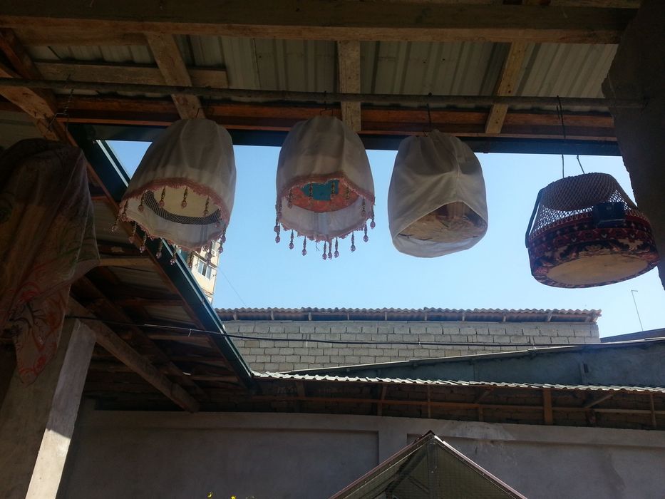 Arzonga Sayroqi bedanalar sotiladi