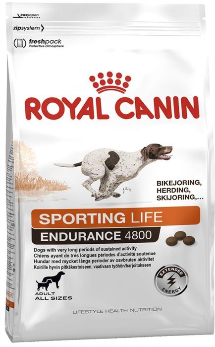 Royal canin adult