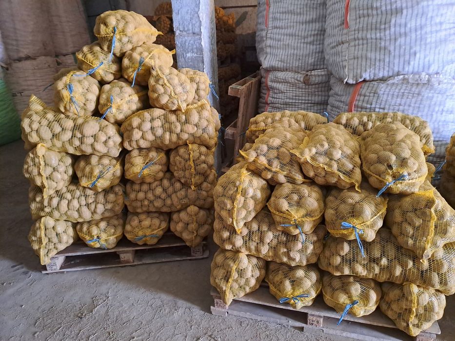 Картофи за консумация и семена