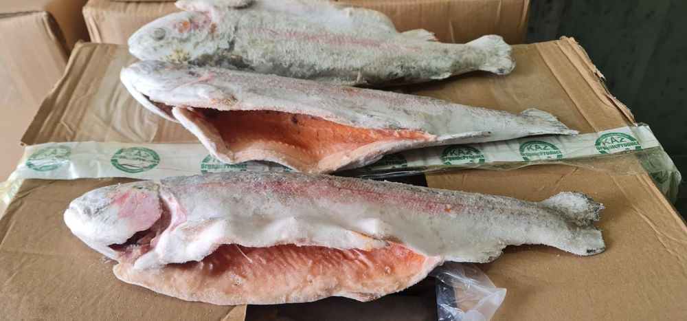 Рыба Балык оптом и розницу