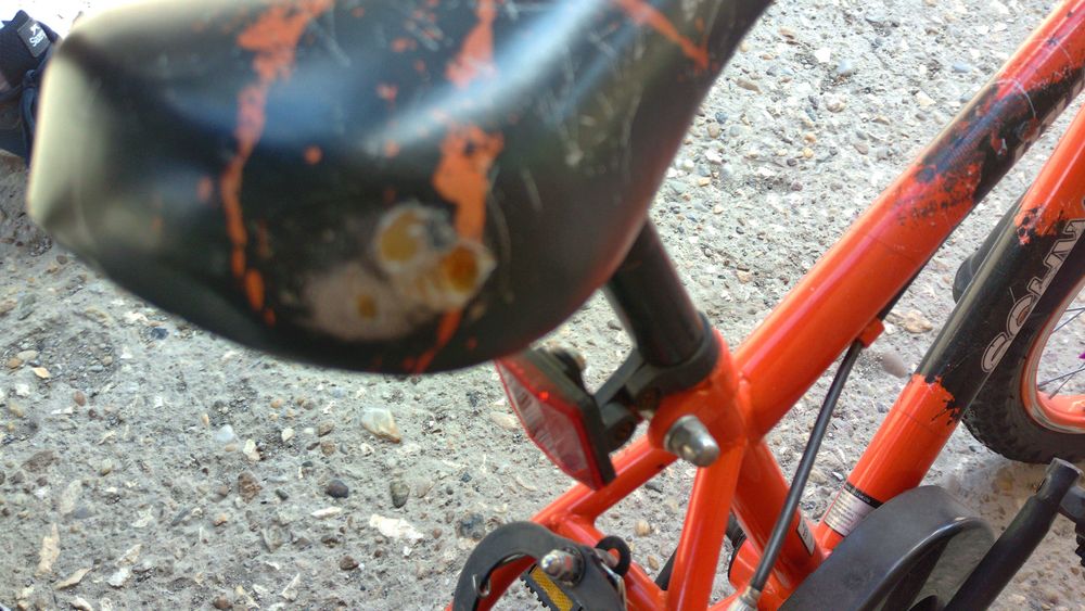 Детски  велосипед / колело    SCHWINN