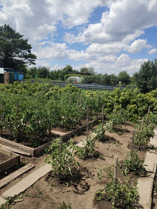 продается дача общества натуралист