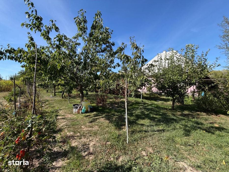 Casa individuala , Bilca, teren 7370mp