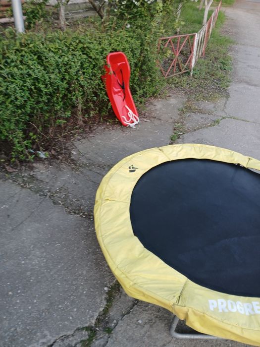 Trambulina trambulina