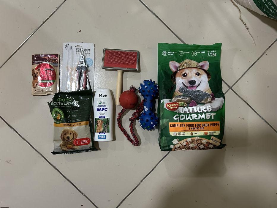 Собака помесь Стаффорда