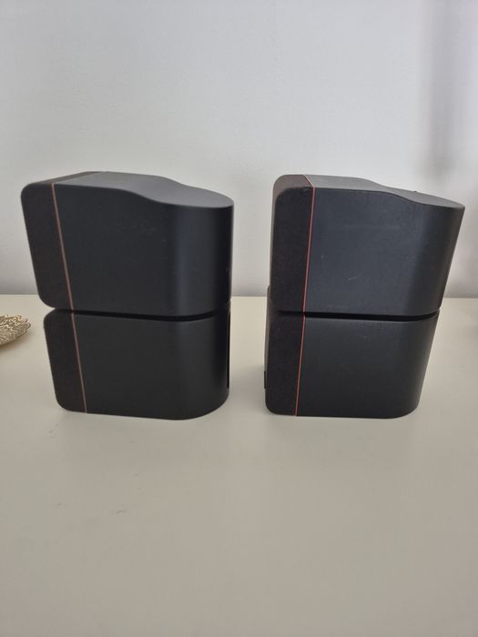 Boxe Bose double-cub