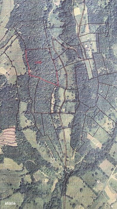 Padure 2,5 HA , Prundul Birgaului