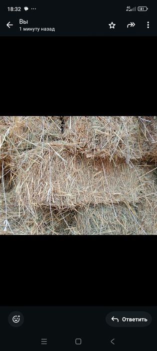 Бидай құрақ аралас сабан