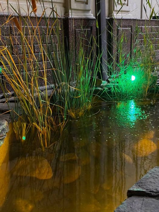 Постройка декоративных прудов