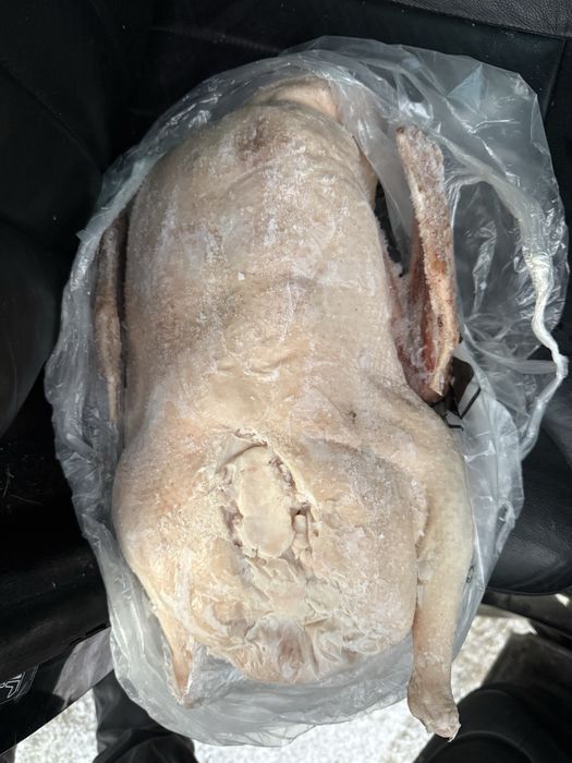 Продам мясо домашних кур уток гусей