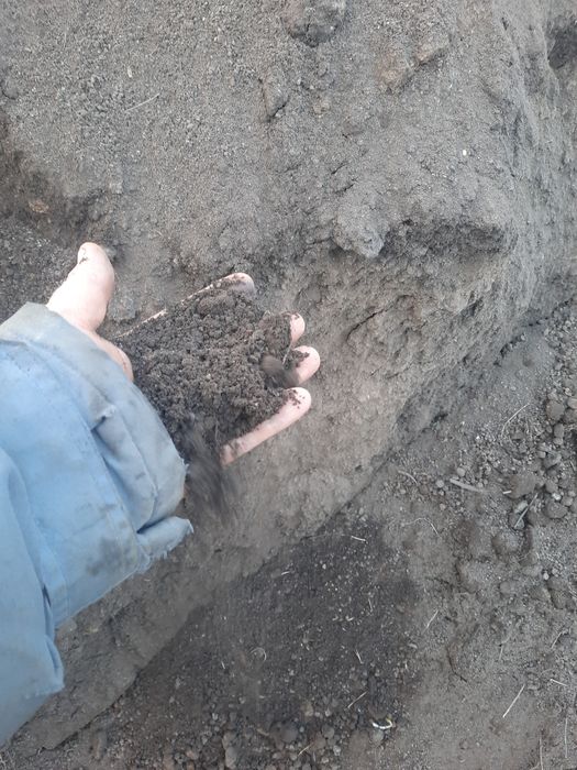 Pamant negru vegetal de gradina si balegar putred