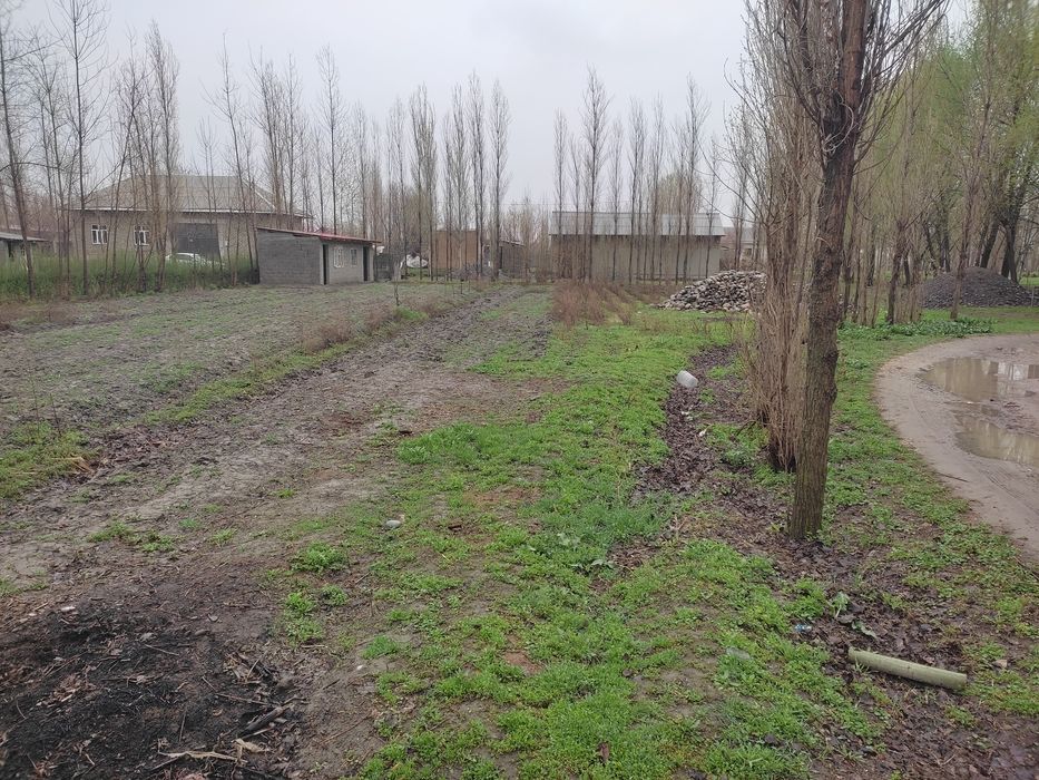 Jomboy yer uchastkasi sotiladi 12 sotix kirif  6- brigat