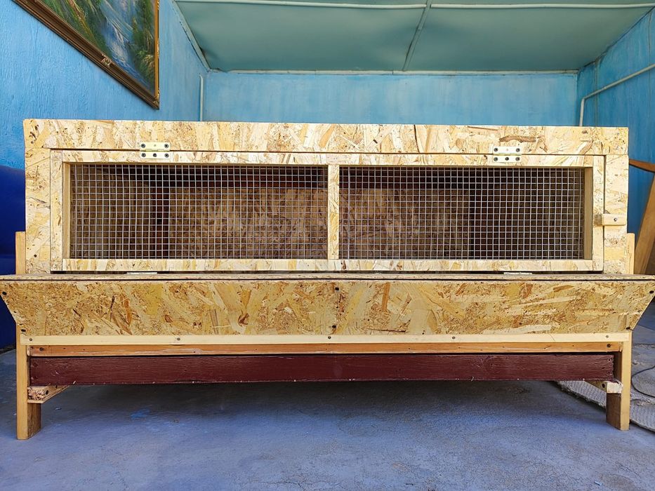 Брудер для цыплят