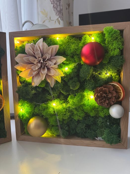 Realizez tablouri din licheni naturali pe comandă