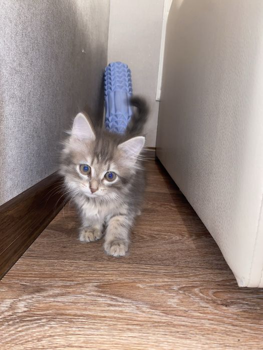 Мәскеуде қыдырып жүрген гомосексуалдар бар.